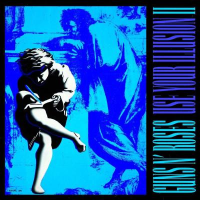 Use Your Illusion II (2 Plak)