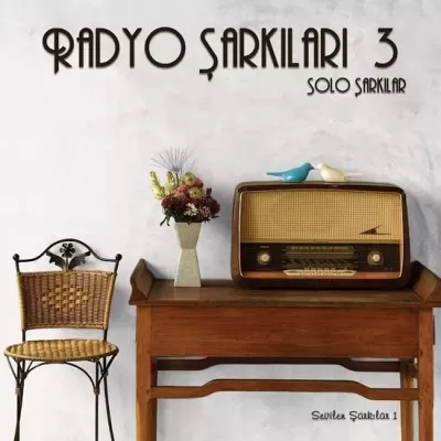Radyo Şarkıları 3 (Plak)