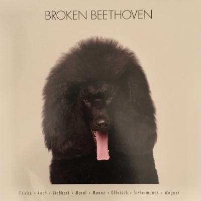 Broken Beethoven (Plak) Çeşitli Sanatçılar