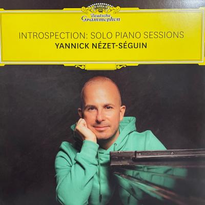 Introspection : Solo Piano Sessions (Plak)