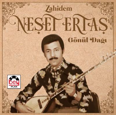 Zahidem/Gönül Dağı (CD)