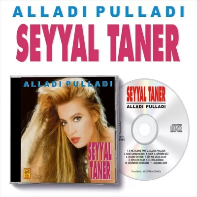 Alladı Pulladı (CD) Seyyal Taner