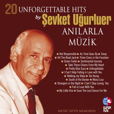 Anılarla Müzik (Plak)
