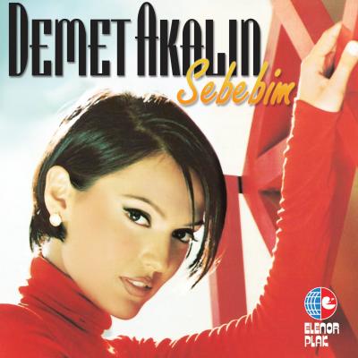 Sebebim (Plak)