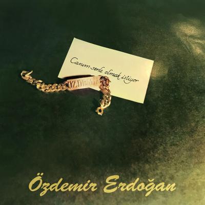 Canım Senle Olmak İstiyor (Plak) Özdemir Erdoğan