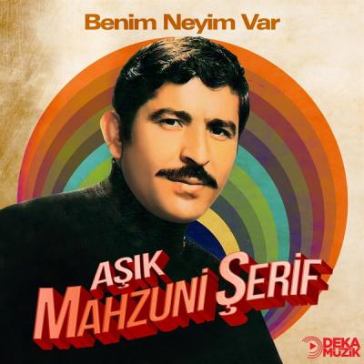 Benim Neyim Var (Plak)
