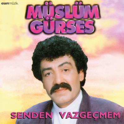 Senden Vazgeçmem (Plak)