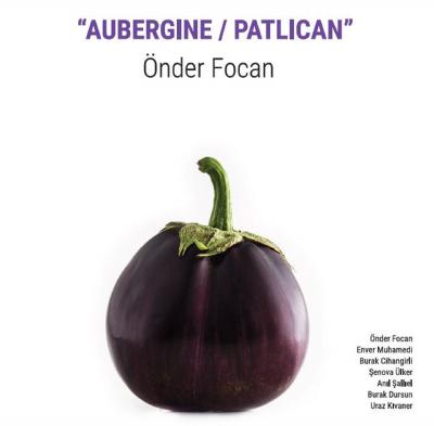 Aubergine / Patlıcan (Plak) Önder Focan