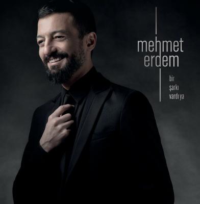 Bir Şarkı Vardı Ya (Plak)