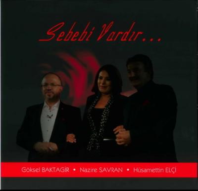 Sebebi Vardır (Plak)