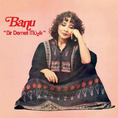 Bir Demet Müzik (Plak)