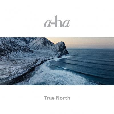 True North (2 Plak) A-Ha